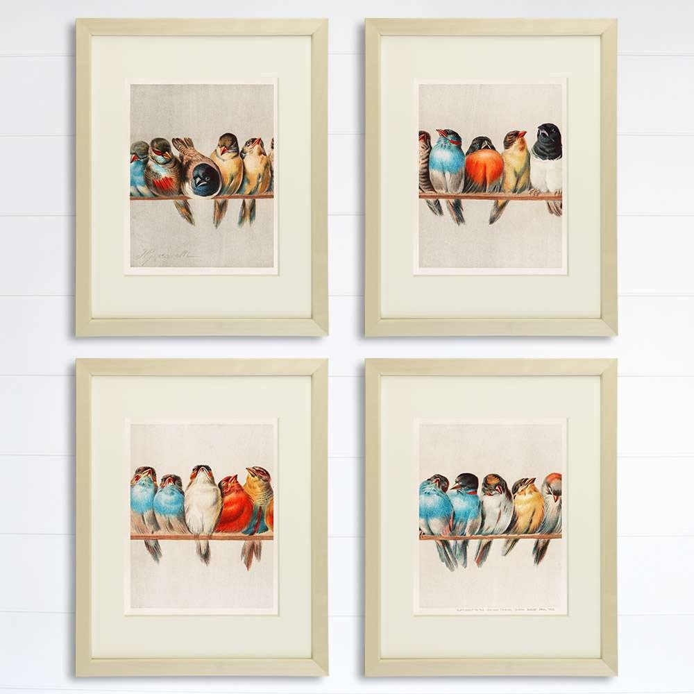 A Perch Of Birds Art Prints (Set of 4)