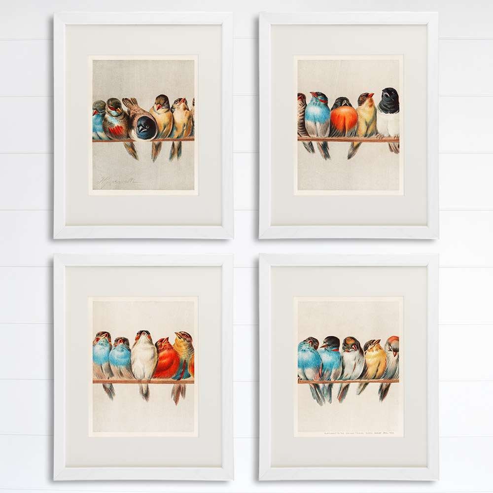 A Perch Of Birds Art Prints (Set of 4)
