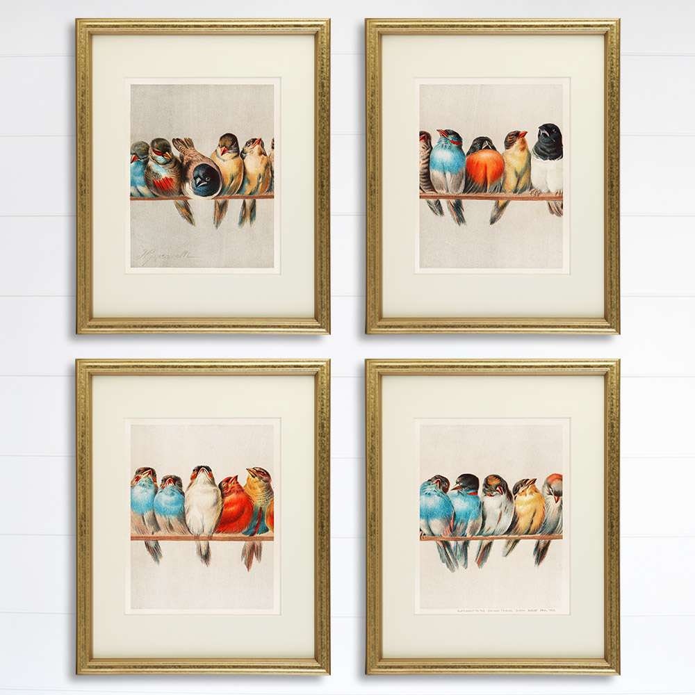 A Perch Of Birds Art Prints (Set of 4)